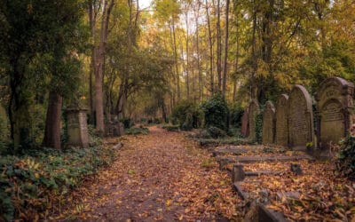 Thinking of Relocating to Highgate: A Hidden Gem in London