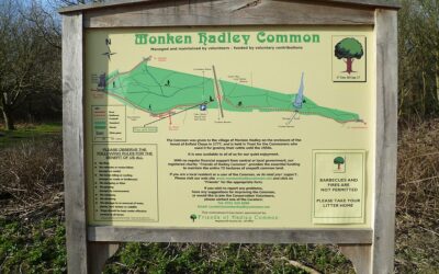 Exploring the Hidden Gems: Points of Interest Around Barnet