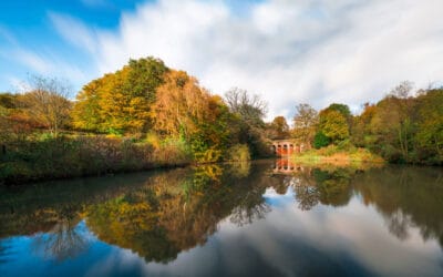 Exploring the Verdant Oasis: Barnet’s Abundance of Parks and Nature Reserves