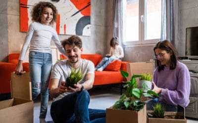 How to Pack Plants for a Home Removal: A Comprehensive Guide