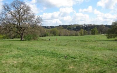 Hampstead Heath: A Nature Lover’s Paradise in the Heart of London